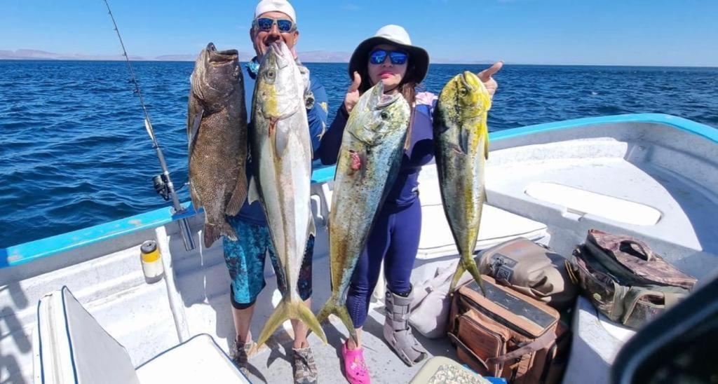 Hotel Villa Vittas Resort Bahia de Los Angeles エクステリア 写真