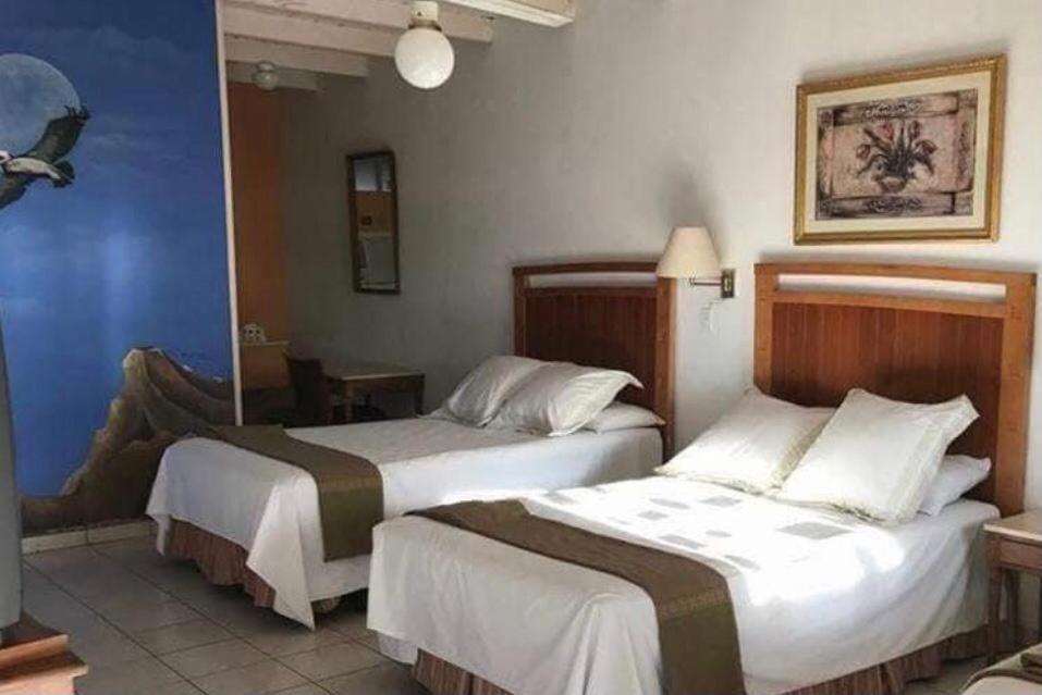 Hotel Villa Vittas Resort Bahia de Los Angeles エクステリア 写真