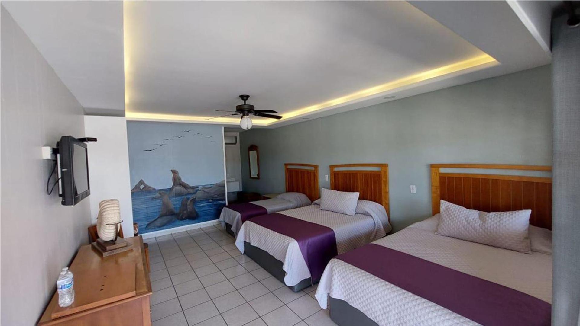 Hotel Villa Vittas Resort Bahia de Los Angeles エクステリア 写真